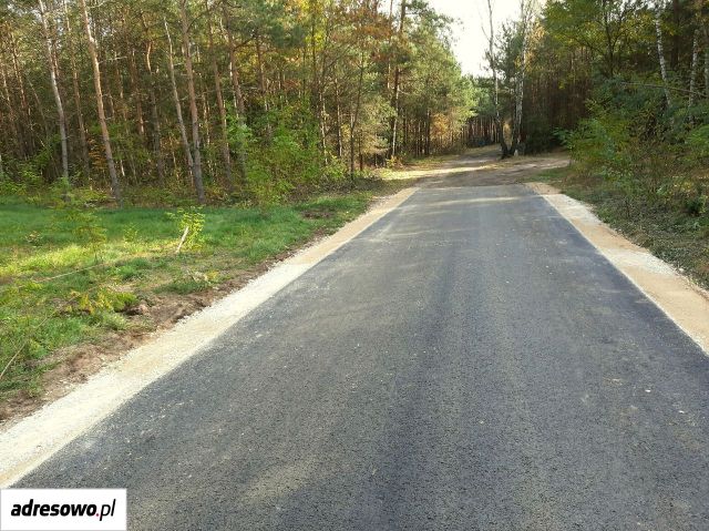 Działka rolno-budowlana Lefranów. Zdjęcie 4