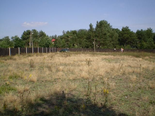 Działka rolno-budowlana Kaszewiec. Zdjęcie 4