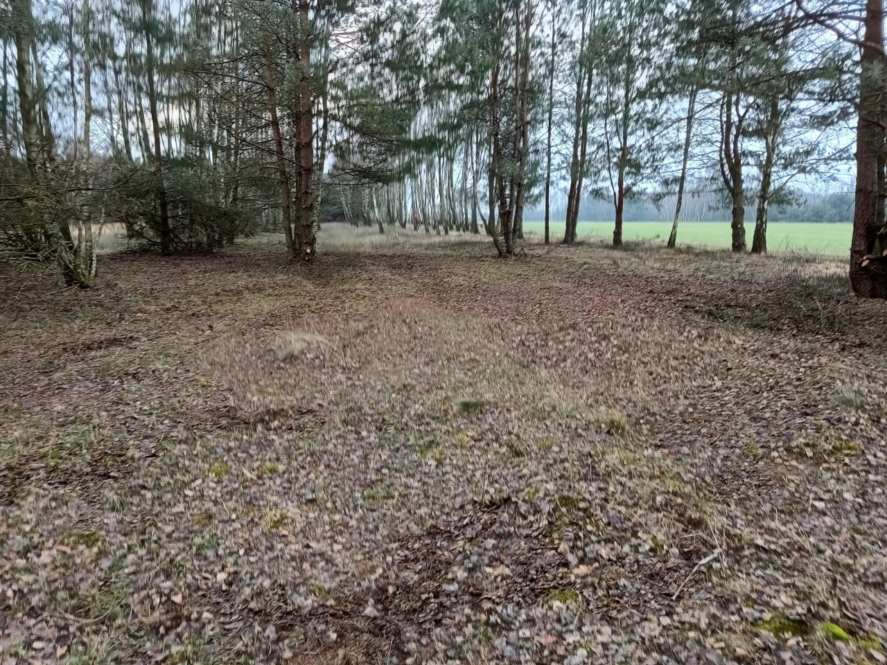 Działka budowlana Tuszyn, ul. Wielkopole. Zdjęcie 3