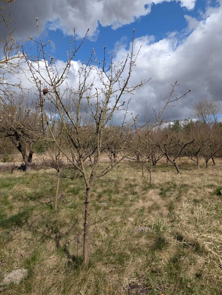 Działka budowlana Mniszek. Zdjęcie 3