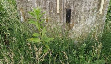 Działka budowlana Ciele, ul. Wypoczynkowa