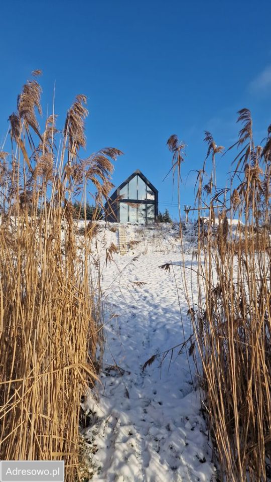 Działka rolno-budowlana Psie Głowy. Zdjęcie 10