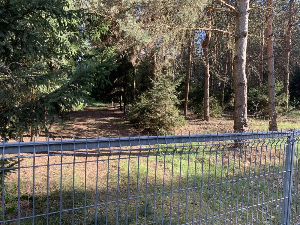 Działka budowlana Chrustne. Zdjęcie 8