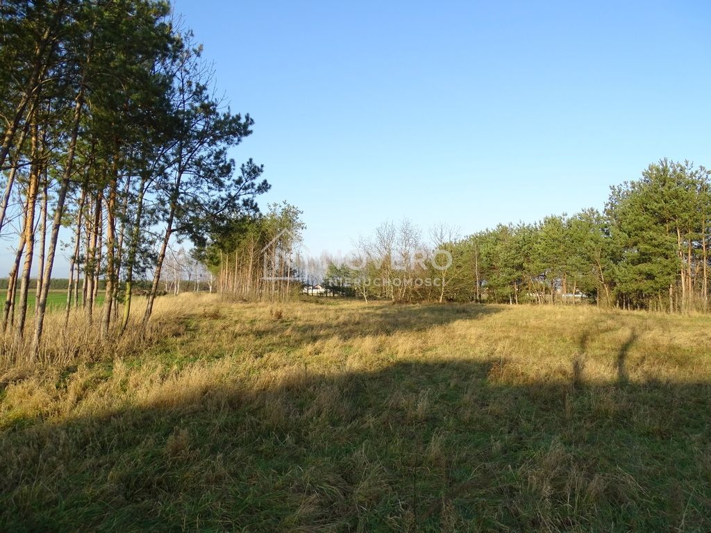 dom wolnostojący, 3 pokoje Wólka Pełkińska. Zdjęcie 7