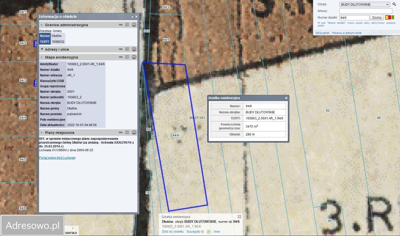 Działka rolno-budowlana Budy Dłutowskie. Zdjęcie 14