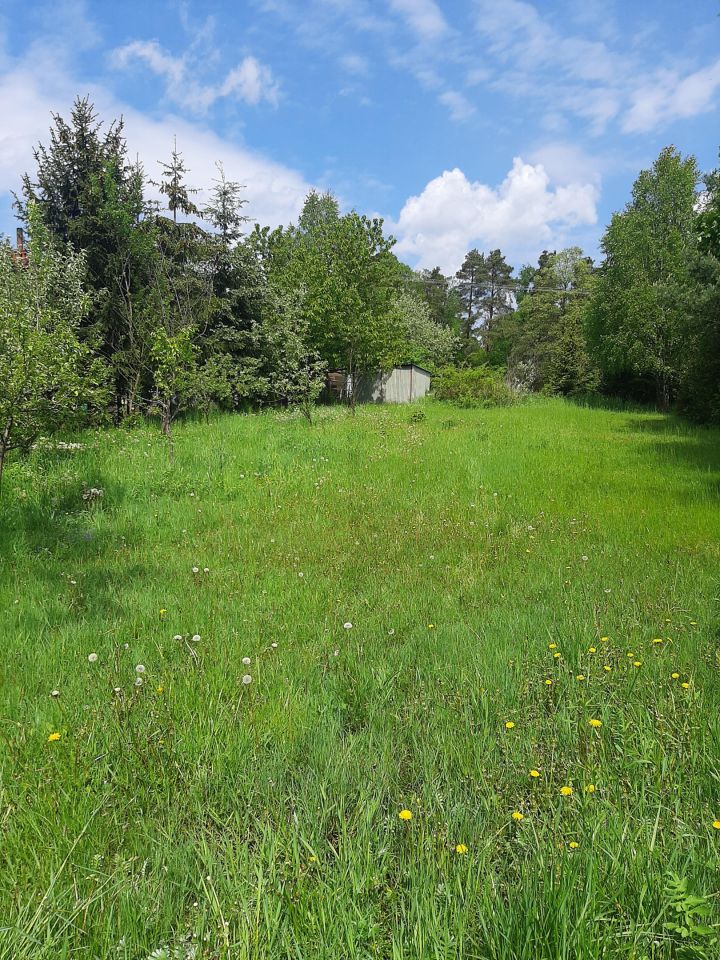 Działka budowlana Osiek. Zdjęcie 2