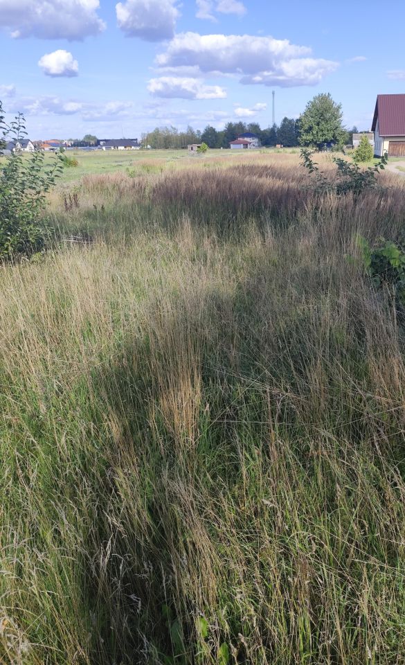 Działka rolna Bielsk Podlaski Studziwody, ul. Wojska Polskiego