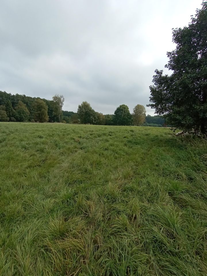 Działka inna Żory Baranowice, ul. Pukowca. Zdjęcie 5