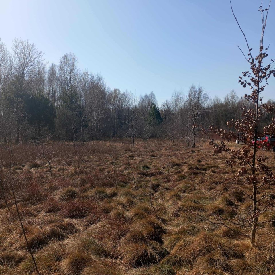 Działka rolno-budowlana Dąbrowa. Zdjęcie 8