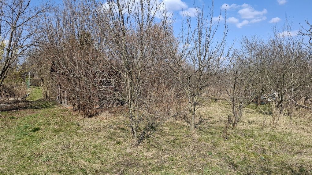 Działka rod Lublin Czechów. Zdjęcie 4