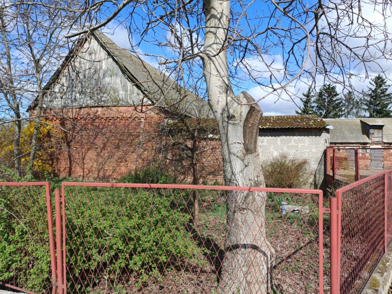 dom wolnostojący, 6 pokoi Katarzyna, Katarzyna. Zdjęcie 3