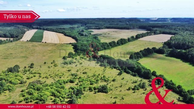 Działka rolna Sarbsk. Zdjęcie 7