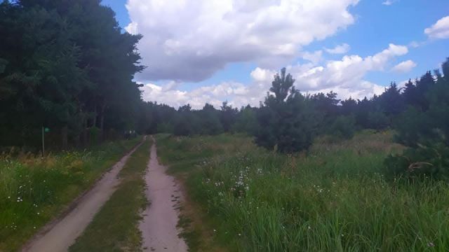 Działka budowlana Sikory, ul. Brzozowa. Zdjęcie 3