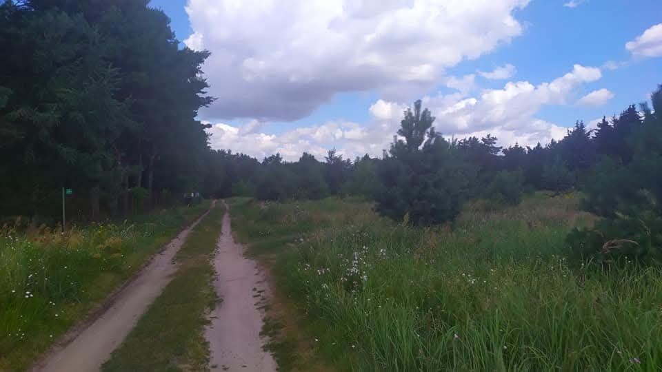 Działka budowlana Sikory, ul. Brzozowa. Zdjęcie 3