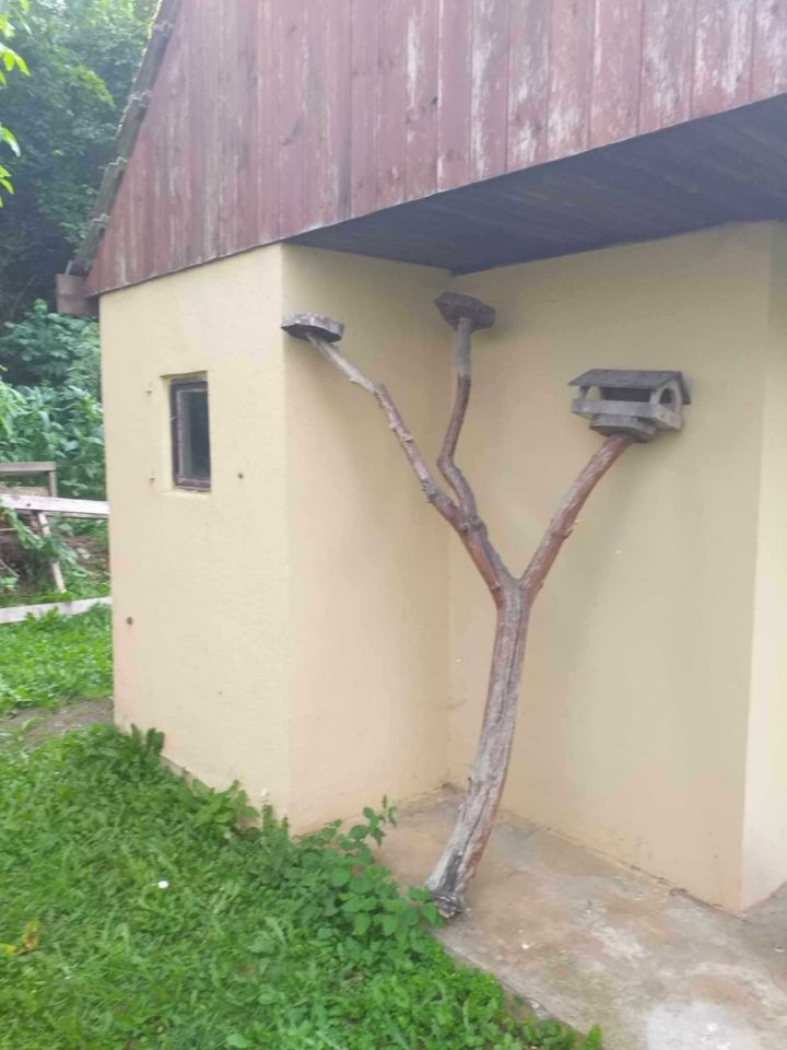 Działka rod Trzebiatów. Zdjęcie 4