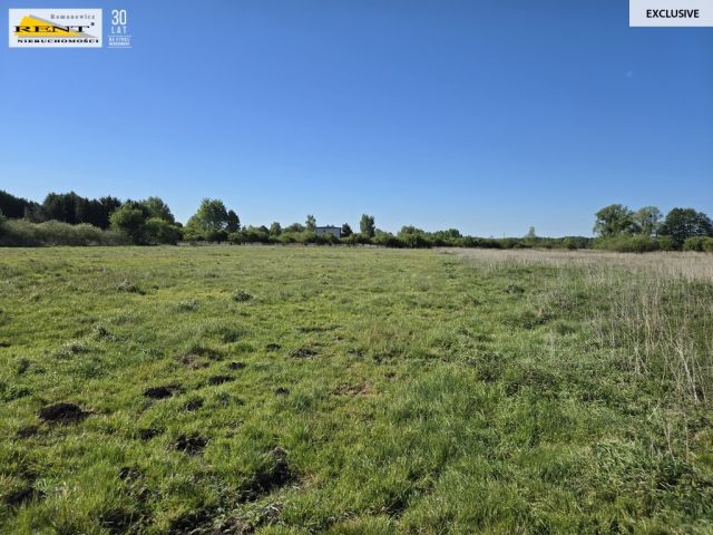 Działka rolna Szczecin. Zdjęcie 13