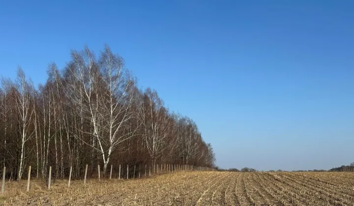 Działka budowlana Ciechanów