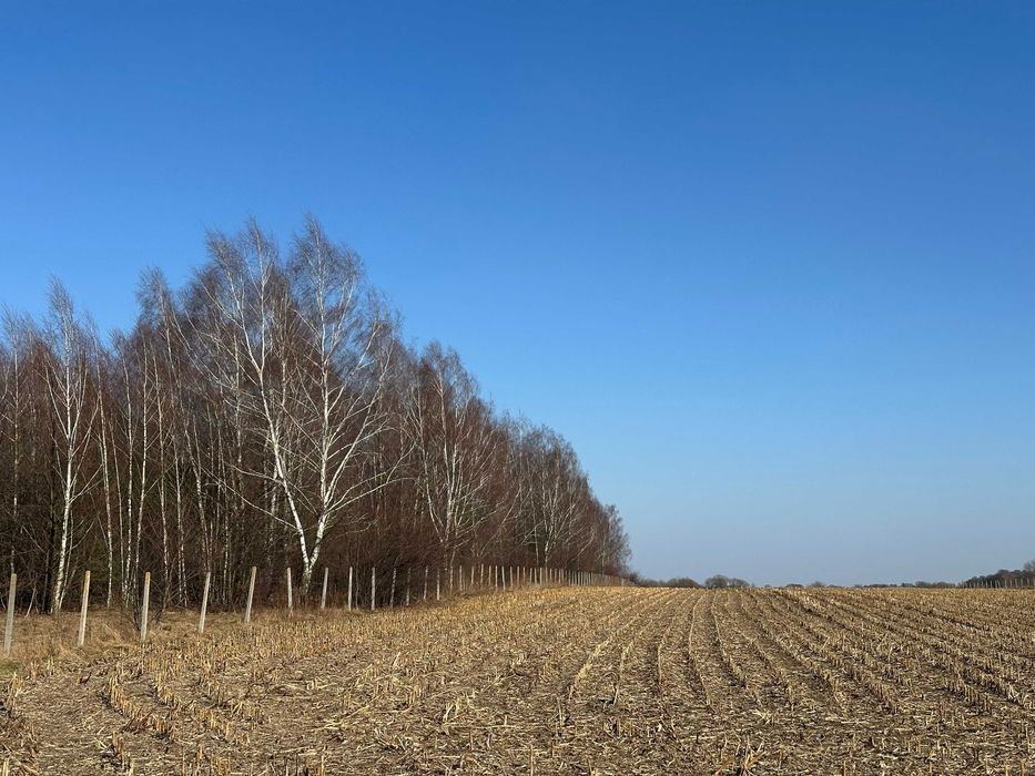 Działka budowlana Ciechanów. Zdjęcie 1