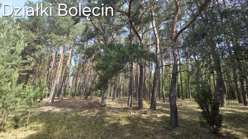 Działka rekreacyjna Bolęcin. Zdjęcie 5