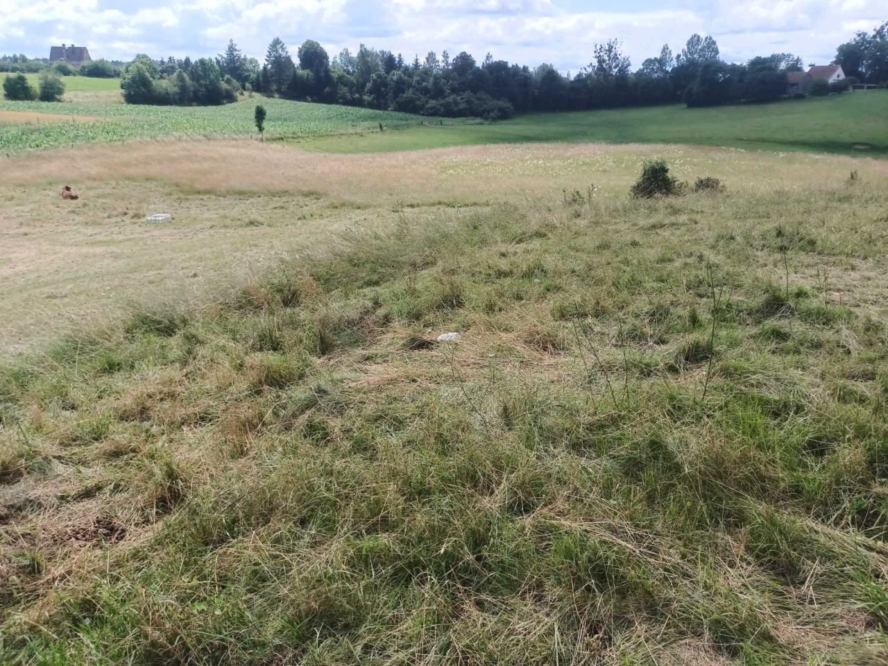 Działka rolna Dąbrówka. Zdjęcie 8