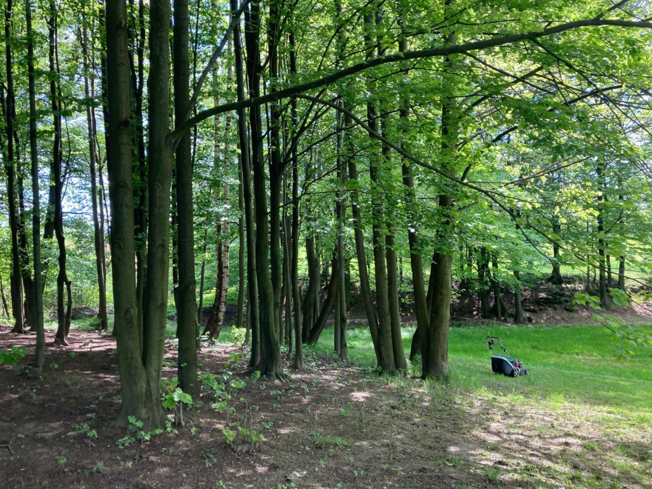 Działka budowlana Stara Wieś. Zdjęcie 7