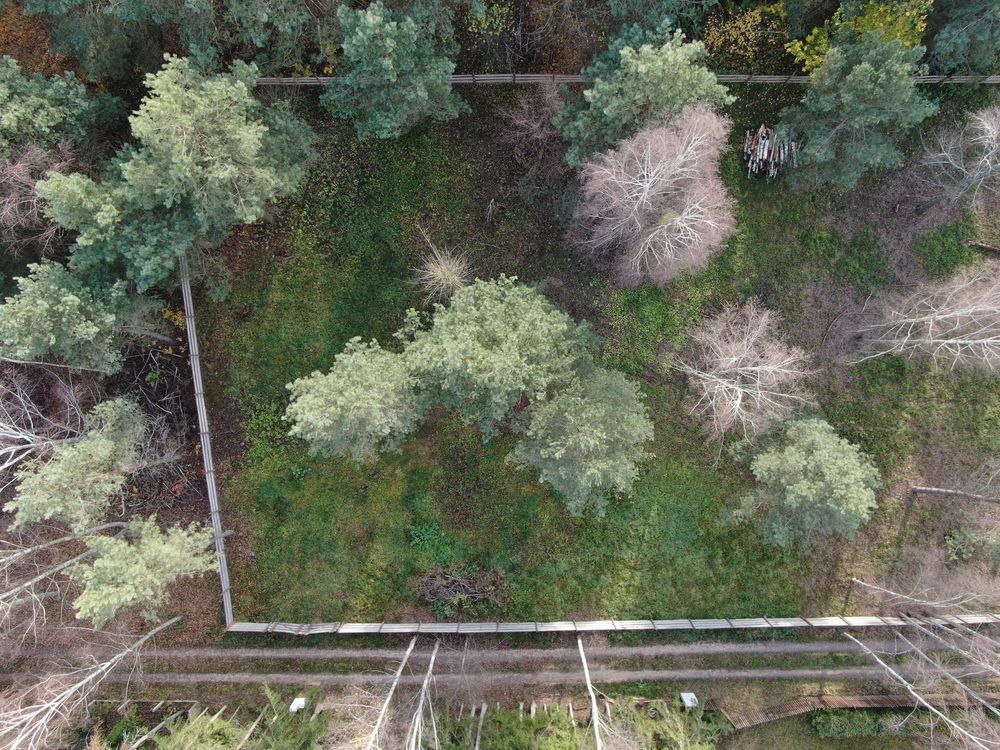 Działka rekreacyjna Kwik. Zdjęcie 3