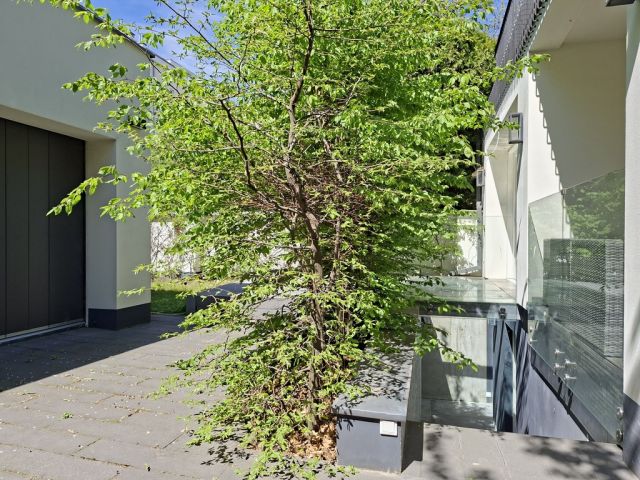 Biuro Warszawa Żoliborz, ul. Tucholska. Zdjęcie 13