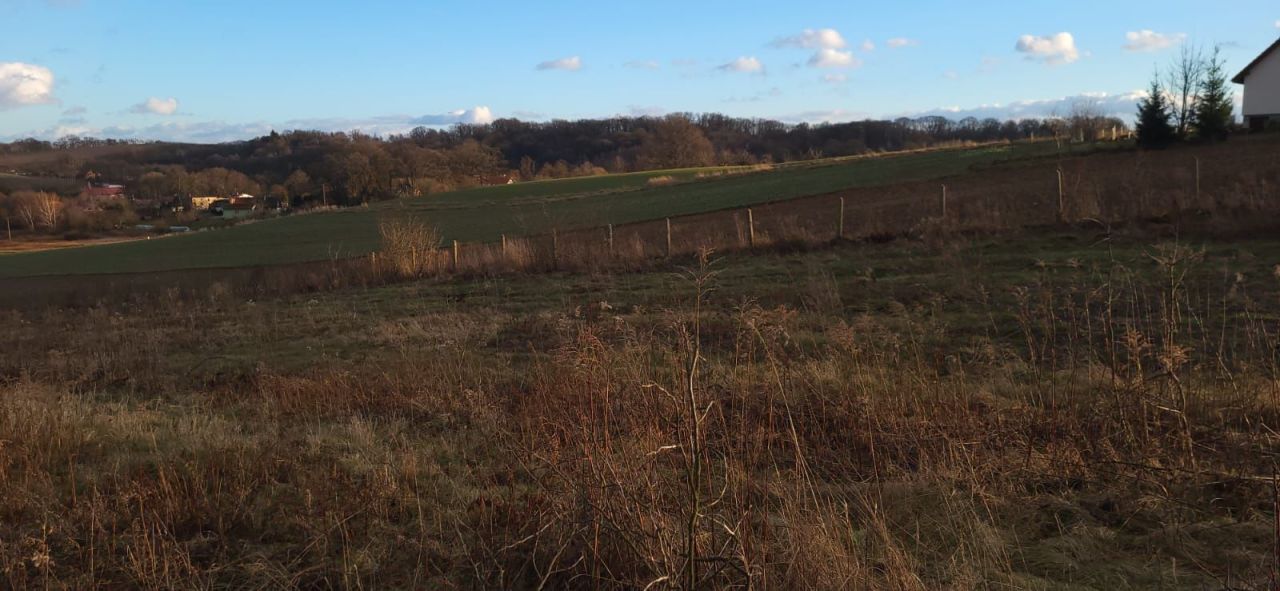 Działka siedliskowa Malczów. Zdjęcie 4