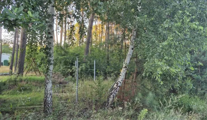 Działka budowlana Krzywiec, ul. Myśliwska