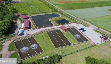 Działka rekreacyjna Bolkowice