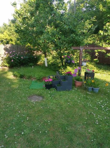 Działka rod Bytom. Zdjęcie 1