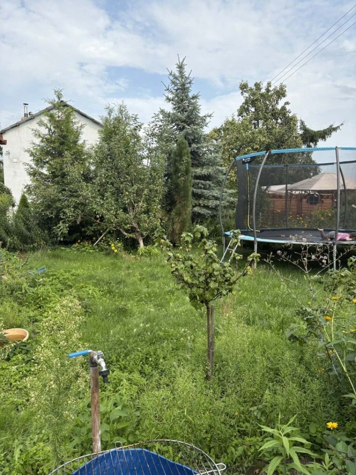 Działka rod Toruń, ul. Marii Skłodowskiej-Curie. Zdjęcie 3