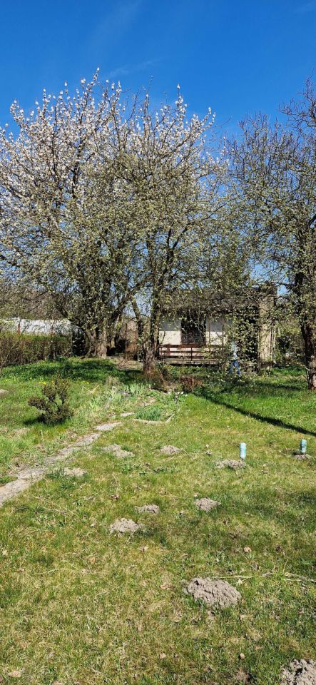 Działka rod Gliwice Sikornik. Zdjęcie 1