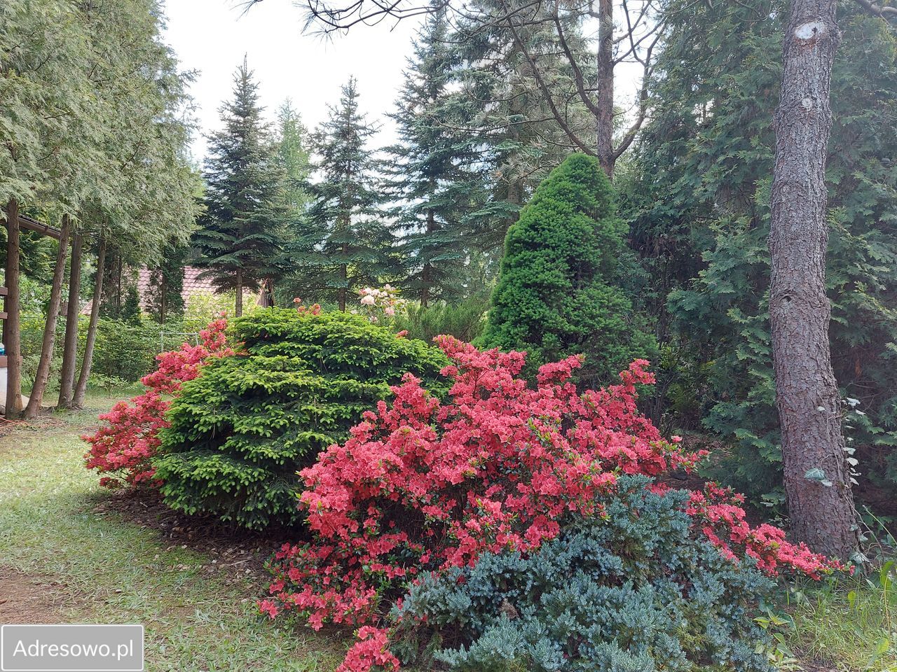 Działka rod Krępa, ul. Długa. Zdjęcie 9