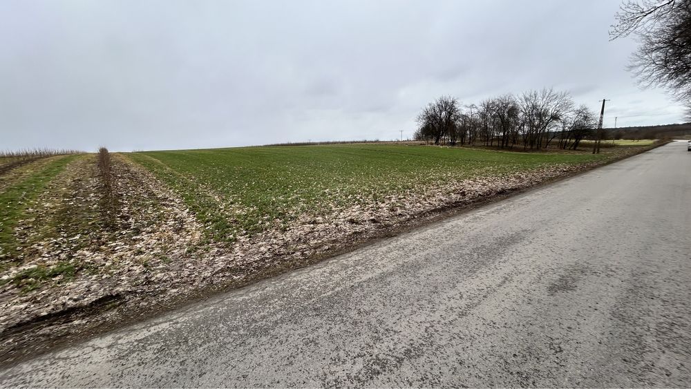 Działka rolno-budowlana Daniszów. Zdjęcie 4