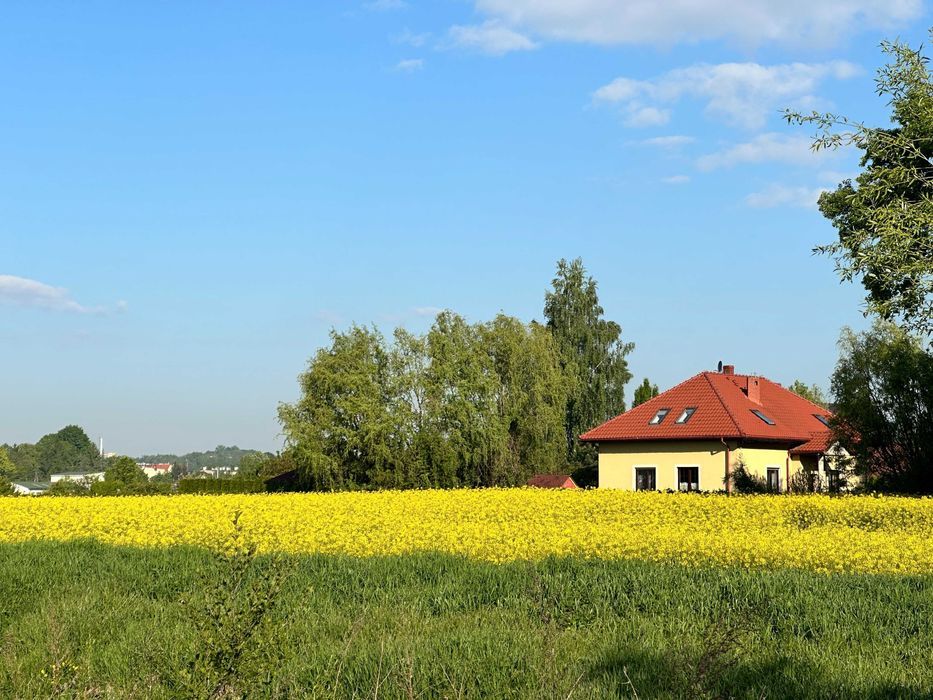 siedlisko, 5 pokoi Strzegom. Zdjęcie 7