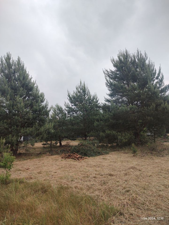 Działka rekreacyjna Stary Orzechów. Zdjęcie 4