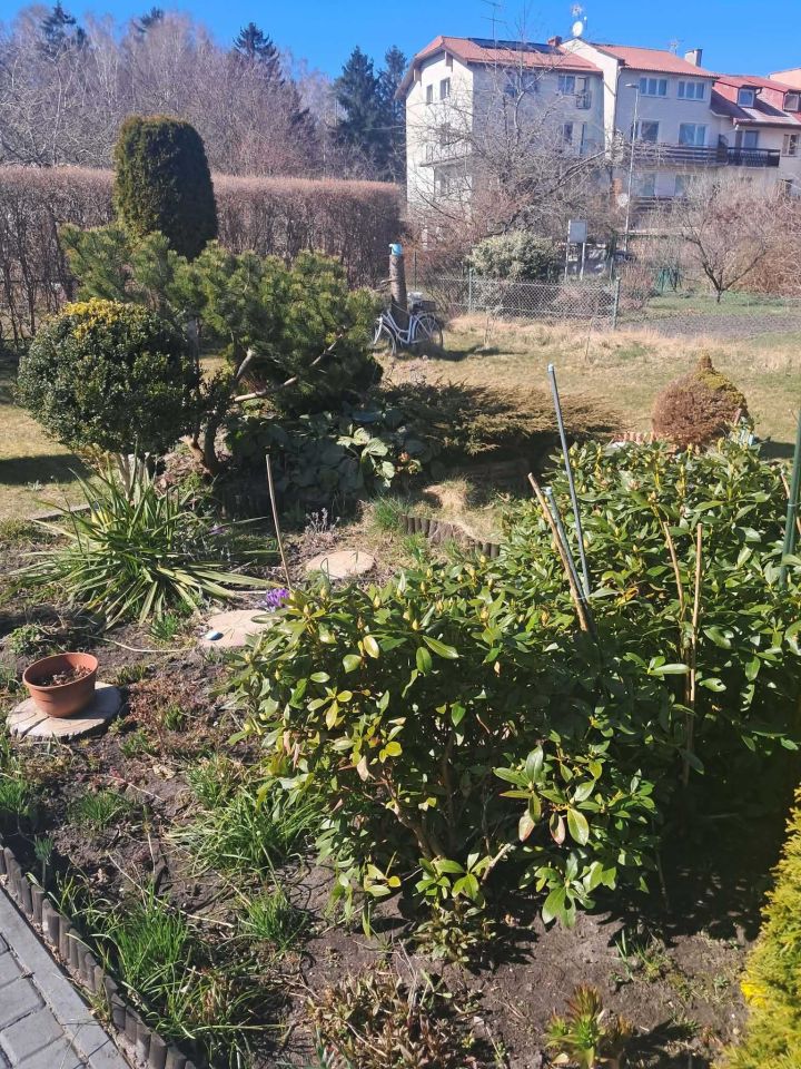 Działka rod Ustka, ul. Krokusowa. Zdjęcie 7