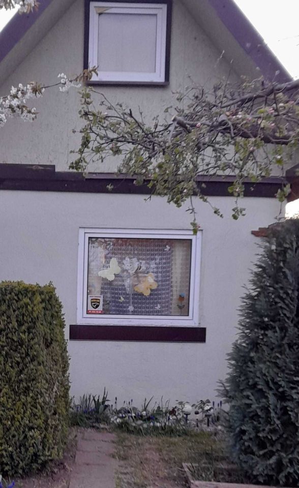 Działka rod Szczecin Golęcino, ul. Hoża. Zdjęcie 4