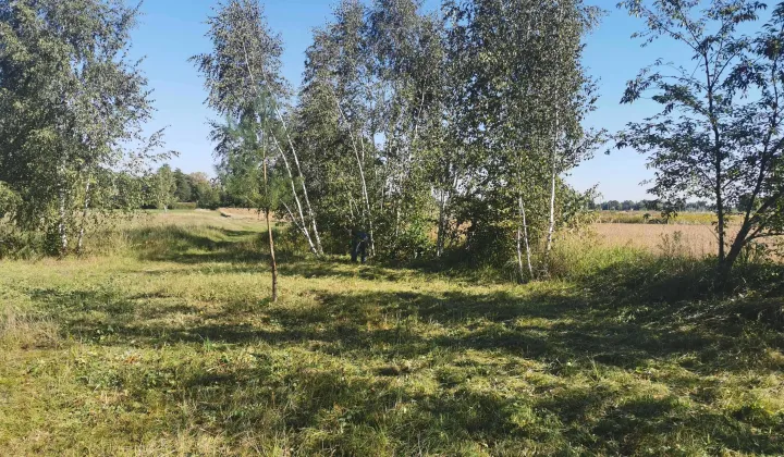 Działka budowlana Bieniewice, ul. Świerkowa
