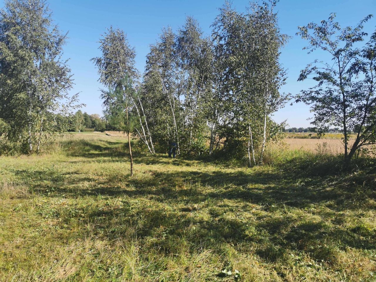 Działka budowlana Bieniewice, ul. Świerkowa. Zdjęcie 1