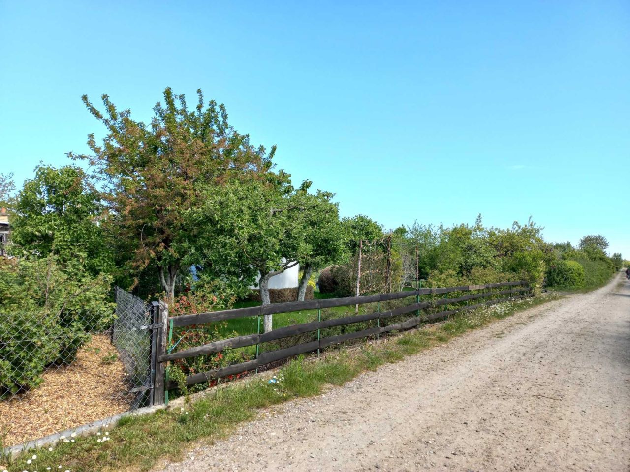 Działka rod Koszalin. Zdjęcie 2