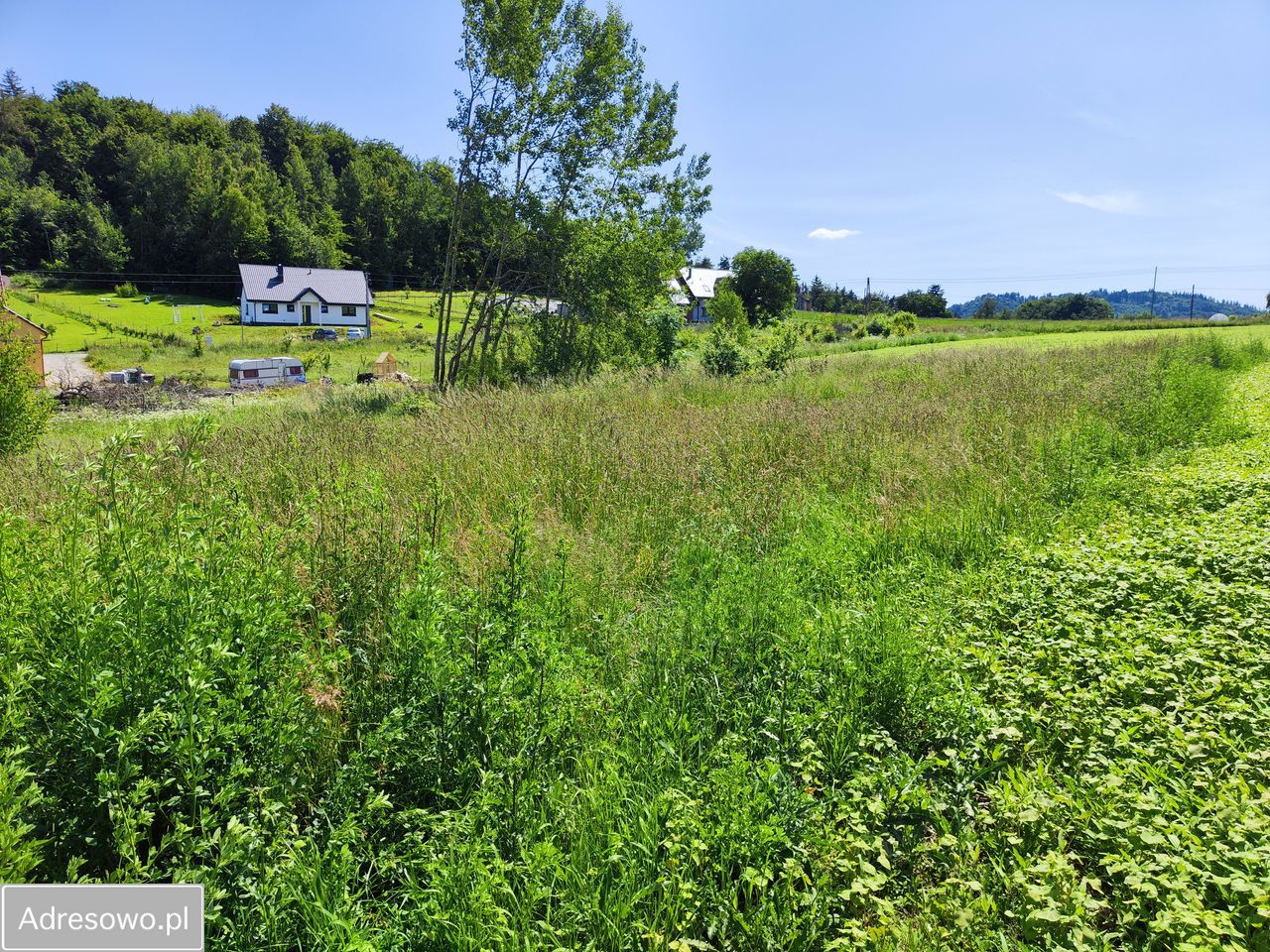 Działka budowlana Dzikowiec. Zdjęcie 3