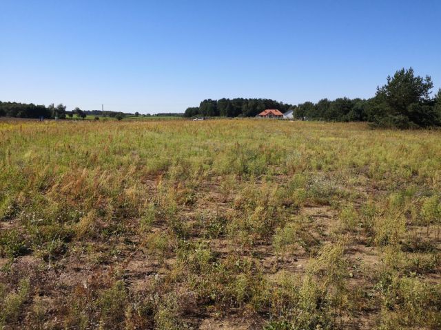 Działka budowlana Pietrzyki. Zdjęcie 5