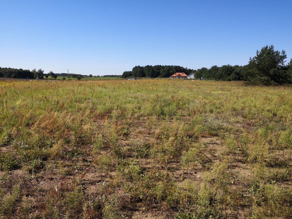 Działka budowlana Pietrzyki. Zdjęcie 5