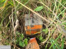 Działka budowlana Czeczewo, ul. Wyszyńskiego. Zdjęcie 3