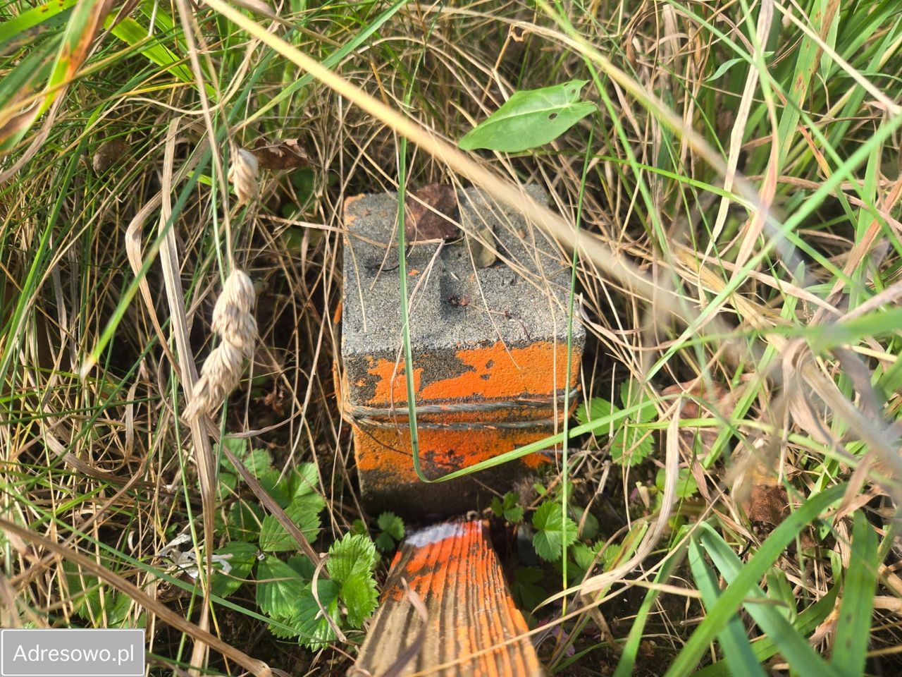 Działka budowlana Czeczewo, ul. Wyszyńskiego. Zdjęcie 4