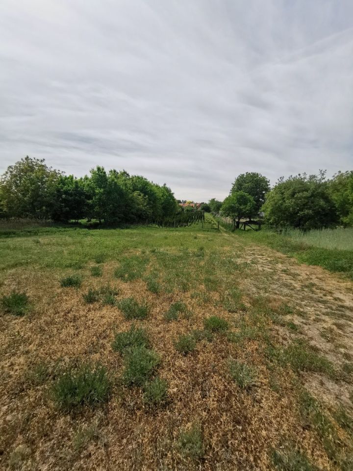 Działka budowlana Puławy Włostowice, ul. Piasecznica. Zdjęcie 6