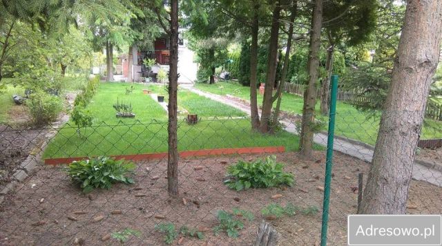 Działka rod Łódź Radogoszcz, ul. Brzegowa. Zdjęcie 1