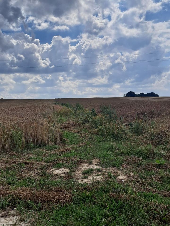 Działka budowlana Jabłonna Druga. Zdjęcie 2